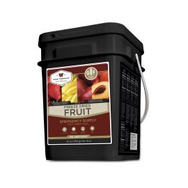 152 Serving Freeze Dried Fruit Gluten Free